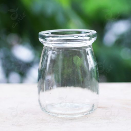 Chậu Thủy Tinh Sữa Chua dày đẹp