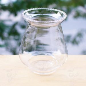 Chậu Thủy Tinh Ly 48 hàng nhập