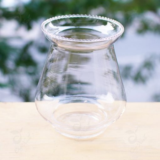 Chậu Thủy Tinh Ly 48 hàng nhập