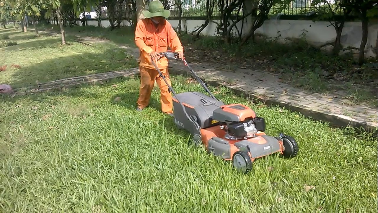 Cắt cỏ nhà xưởng Giải pháp hiệu quả cho xí nghiệp ở Vũng Tàu năm 2023