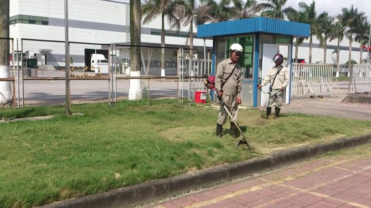 Cắt cỏ nhà xưởng Giải pháp hiệu quả cho xí nghiệp ở Vũng Tàu năm 2023