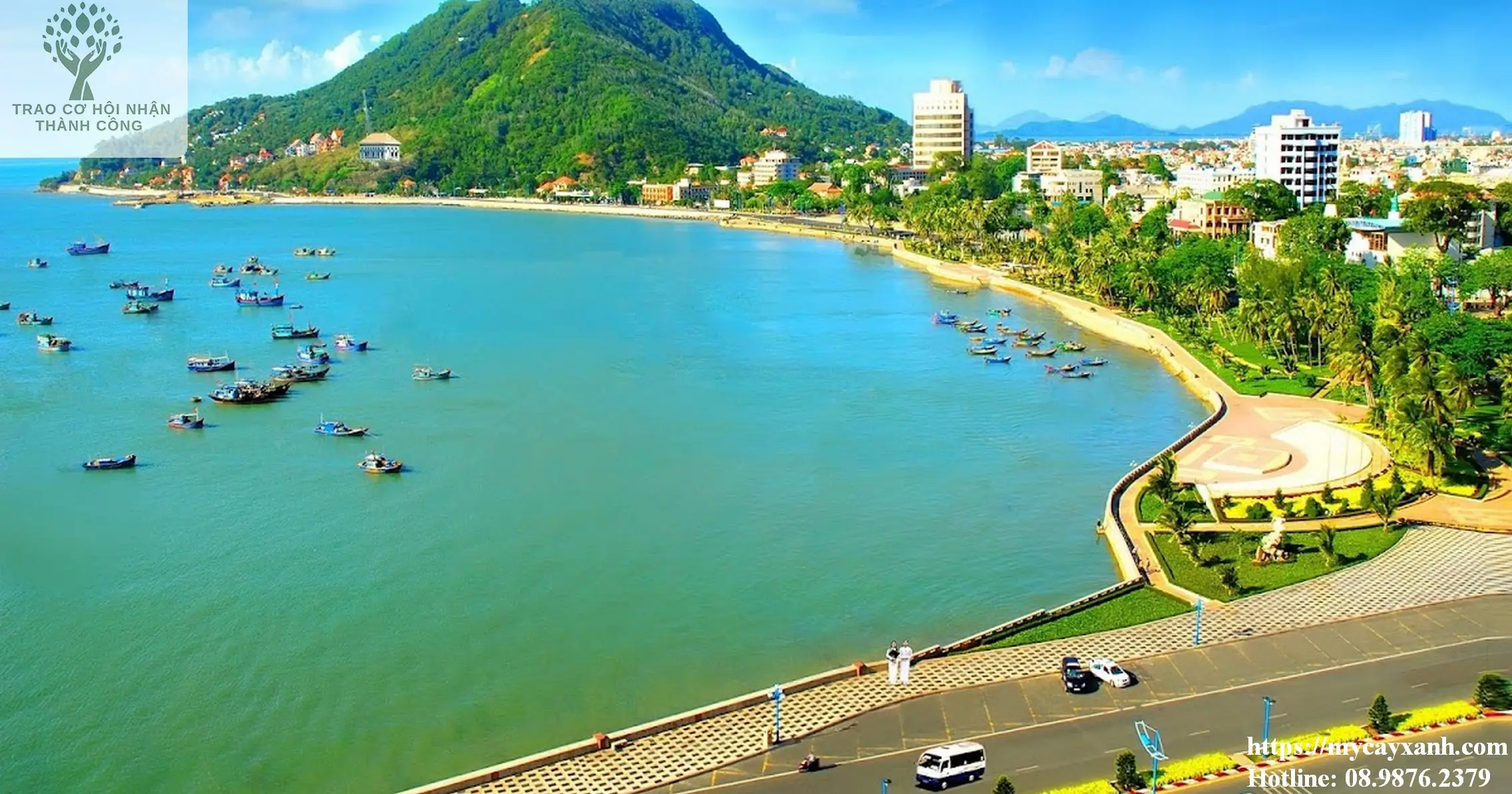 Dịch vụ cắt tỉa cây xanh Vũng Tàu năm 2023