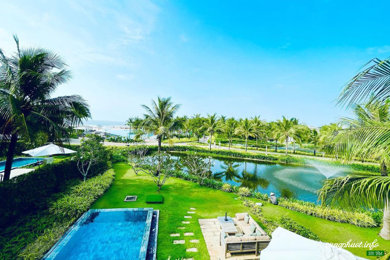 Giới thiệu Công ty Cây xanh Đức Lâm Vũng Tàu