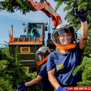 Bài 2: Giải pháp dọn cỏ dại tối ưu cho các doanh nghiệp  tại Thái Nguyên
