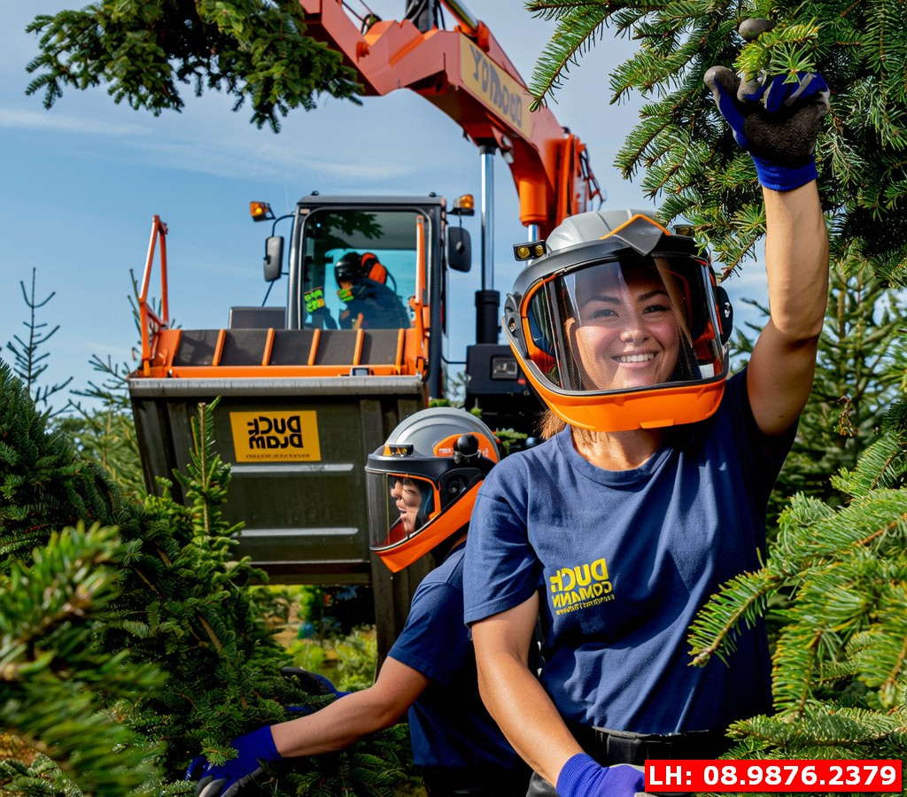 Mẹo giữ gìn cây xanh trong mùa bão tại Thái Nguyên